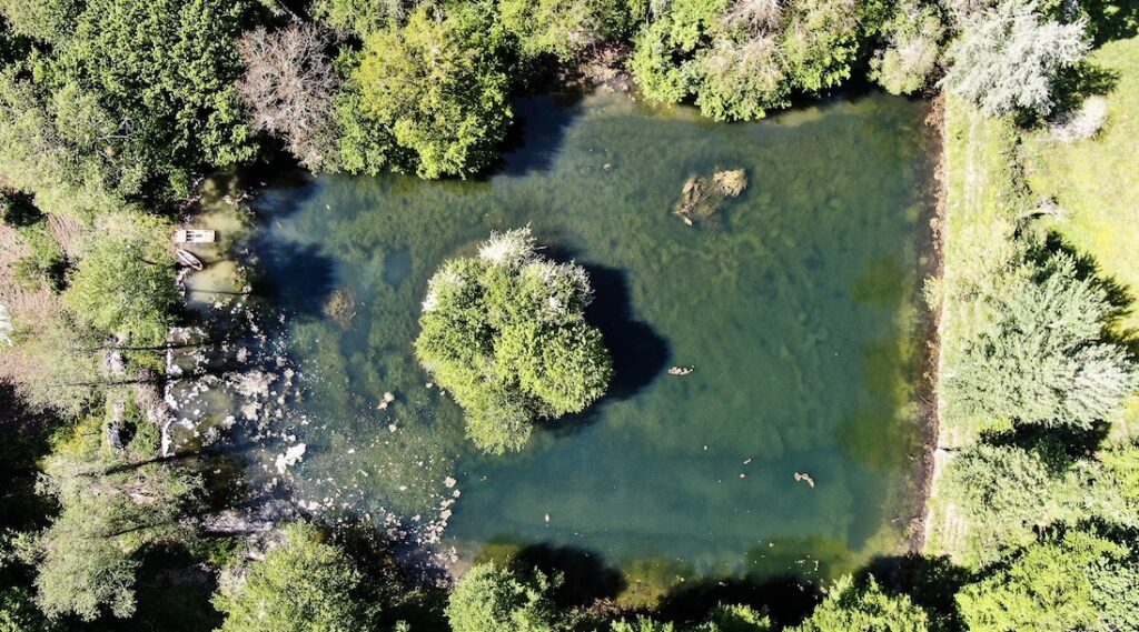 photo drone d'un lac avec ile 